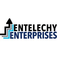 Entelechy Enterprises logo - Similar company to On Point Support