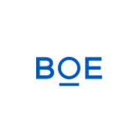 BOE VISION ELECTRONIC TECHNOLOGY MEXICO logo - Similar company to Provem S.A. De C.V.