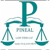 PINEAL Law Firm  LLP logo - Similar company to Team Paragon
