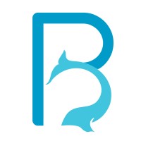 BluePhin Technologies logo - Similar company to Edwin Robotics