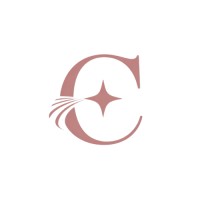 Cool Aptitude logo - Similar company to Quo Libri