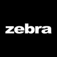 Zebra Fashion AG logo - Similar company to Orb Apparel Ltd.
