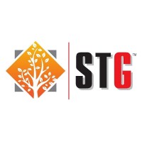 Springtree Group logo - Similar company to Chenango Brokers Llc
