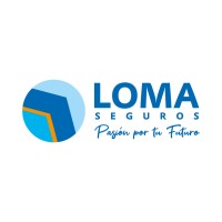 Loma Seguros logo - Similar company to Studio Vl