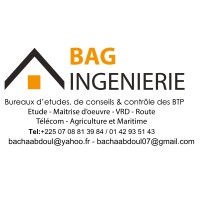 BAG INGENIERIE logo - Similar company to Bakan'M Fine'Renov