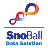 SnoBall Data Solution logo - Similar company to True Vision
