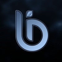 Insight Pro logo - Similar company to Virtual Forge (Acquired By Onapsis Inc)