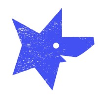 Dogstar Foundation logo - Similar company to Openarchive
