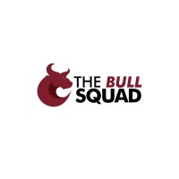 TheBullSquad logo - Similar company to Byteworks