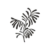 C&E Furniture + Design logo - Similar company to Studio_K