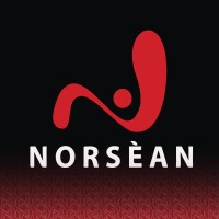 Norsean Decoration logo - Similar company to Raqi Decoration Ltd Co.