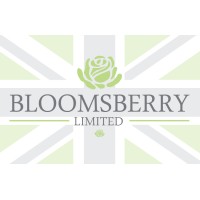 Bloomsberry Ltd logo - Similar company to Develec Ltd