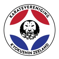 Kyokushin Zeeland logo - Similar company to Take A Step