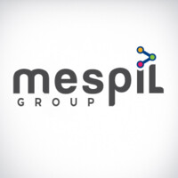 Mespil Group logo - Similar company to All-Ireland Business Foundation