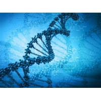 Biotech Investors Database logo - Similar company to This Is Farm