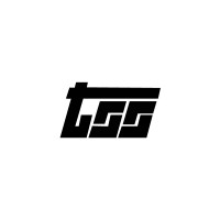 Truck Staff Services, LLC logo - Similar company to Exfluor Research Corporation