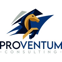 Proventum Consulting logo - Similar company to Poligonnus Consulting
