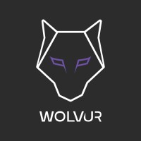 WOLVUR logo - Similar company to Starling Elevate It Solution