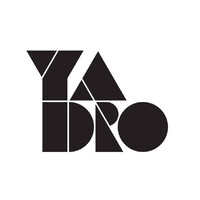 YADRO logo - Similar company to Baikal Electronics