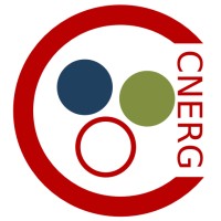 Computational Nuclear Engineering Research Group logo - Similar company to Sunny Lash Studio