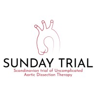 SUNDAY trial logo - Similar company to Cx Symposium