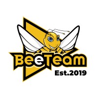 BeeTeam International Football School logo - Similar company to Beeteam Ab