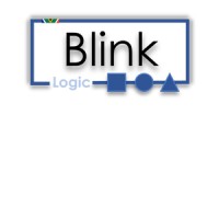 Blink Logic (Pty) Ltd logo - Similar company to Sgt Solutions (Pty) Ltd