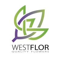 WESTFLOR (UK) LIMITED logo - Similar company to Idhkg