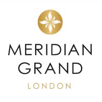 Meridian Grand logo - Similar company to Chakra Group Ltd
