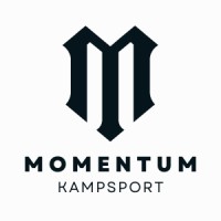 Momentum IF logo - Similar company to Burrapay