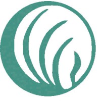 NAMI Keystone Pennsylvania logo - Similar company to Shiftworks Community + Public Arts