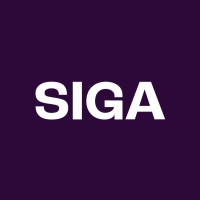 Siga - Assessoria de Marketing Digital logo - Similar company to Shared Hub