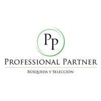 Professional Partner Consultores logo - Similar company to Allot
