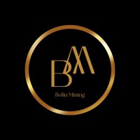 Bolin Group logo - Similar company to Krisadic Ltd