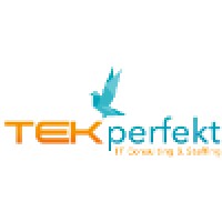 TEKperfekt Inc - IT Consulting & Recruiting logo - Similar company to Virtual Hangar®