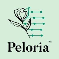 Peloria logo - Similar company to Habitually Organized