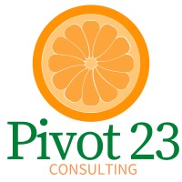 Pivot 23 Consulting
