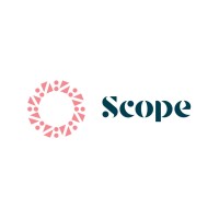 Scope Advisory logo - Similar company to Vitil - People Solutions