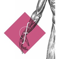 FISIOROM logo - Similar company to Physioss