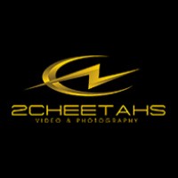 2 Cheetahs Video And Photography