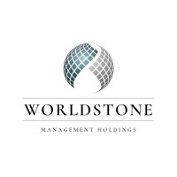 Worldstone Management Holdings Oy logo - Similar company to Self Ai Oy