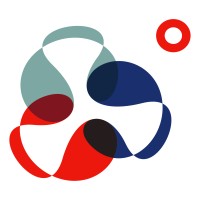 Faber Infinite Consulting logo - Similar company to Pboplus Consulting Services Pvt. Ltd.