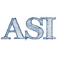 Aviation Systems International logo - Similar company to Fidelity Flight Simulation Incorporated