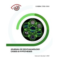 Ophthalmology Cases & Hypotheses (OCH) journal logo - Similar company to Trimax International