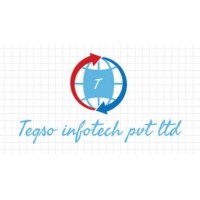 Teqso Infotech Pvt Ltd logo - Similar company to Exergy Solutions