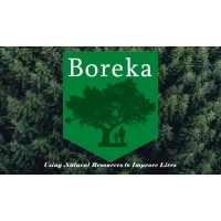 Boreka Group logo - Similar company to The Archangel Interactive