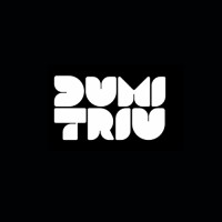 Dumitriu Filmes logo - Similar company to Usodigital