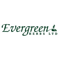 Evergreen Herbs logo - Similar company to Jack Herbs Colombia