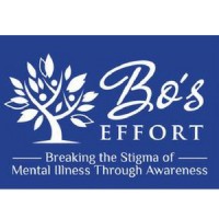 Bo's Effort logo - Similar company to Todd & Todd, Llp & Chester Springs Financial Group, Llc