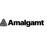 Amalgm Technologies Inc logo - Similar company to Kingston Technologies Inc